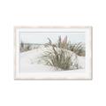 Picture of Sand Dunes _GroupedProduct_Rectangle_Landscape_Photography _GroupedProduct_Rectangle_Landscape_Framed_Matted_
