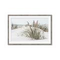 Picture of Sand Dunes _GroupedProduct_Rectangle_Landscape_Photography _GroupedProduct_Rectangle_Landscape_Framed_Matted_