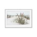 Picture of Sand Dunes _GroupedProduct_Rectangle_Landscape_Photography _GroupedProduct_Rectangle_Landscape_Framed_Matted_