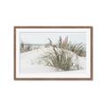 Picture of Sand Dunes _GroupedProduct_Rectangle_Landscape_Photography _GroupedProduct_Rectangle_Landscape_Framed_Matted_