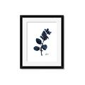Picture of Blue Leaves V _GroupedProduct_Rectangle_Portrait_Framed_Matted_