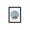 Picture of Blue Seashell _GroupedProduct_Rectangle_Portrait_Framed_Matted_