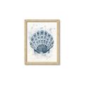 Picture of Blue Seashell _GroupedProduct_Rectangle_Portrait_Framed_Matted_
