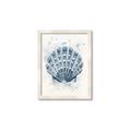 Picture of Blue Seashell _GroupedProduct_Rectangle_Portrait_Framed_Matted_
