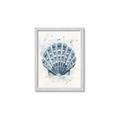 Picture of Blue Seashell _GroupedProduct_Rectangle_Portrait_Framed_Matted_