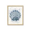 Picture of Blue Seashell _GroupedProduct_Rectangle_Portrait_Framed_Matted_