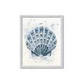 Picture of Blue Seashell _GroupedProduct_Rectangle_Portrait_Framed_Matted_