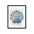 Picture of Blue Seashell _GroupedProduct_Rectangle_Portrait_Framed_Matted_