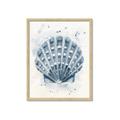Picture of Blue Seashell _GroupedProduct_Rectangle_Portrait_Framed_Matted_