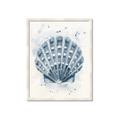 Picture of Blue Seashell _GroupedProduct_Rectangle_Portrait_Framed_Matted_