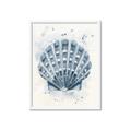 Picture of Blue Seashell _GroupedProduct_Rectangle_Portrait_Framed_Matted_