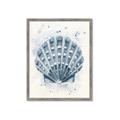 Picture of Blue Seashell _GroupedProduct_Rectangle_Portrait_Framed_Matted_