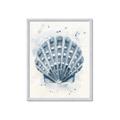 Picture of Blue Seashell _GroupedProduct_Rectangle_Portrait_Framed_Matted_