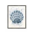Picture of Blue Seashell _GroupedProduct_Rectangle_Portrait_Framed_Matted_