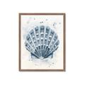 Picture of Blue Seashell _GroupedProduct_Rectangle_Portrait_Framed_Matted_
