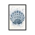 Picture of Blue Seashell _GroupedProduct_Rectangle_Portrait_Framed_Matted_