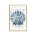 Picture of Blue Seashell _GroupedProduct_Rectangle_Portrait_Framed_Matted_