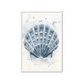 Picture of Blue Seashell _GroupedProduct_Rectangle_Portrait_Framed_Matted_