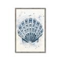 Picture of Blue Seashell _GroupedProduct_Rectangle_Portrait_Framed_Matted_