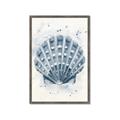 Picture of Blue Seashell _GroupedProduct_Rectangle_Portrait_Framed_Matted_