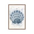 Picture of Blue Seashell _GroupedProduct_Rectangle_Portrait_Framed_Matted_