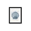 Picture of Blue Seashell _GroupedProduct_Rectangle_Portrait_Framed_Matted_