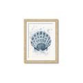 Picture of Blue Seashell _GroupedProduct_Rectangle_Portrait_Framed_Matted_