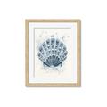 Picture of Blue Seashell _GroupedProduct_Rectangle_Portrait_Framed_Matted_