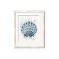 Picture of Blue Seashell _GroupedProduct_Rectangle_Portrait_Framed_Matted_