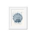 Picture of Blue Seashell _GroupedProduct_Rectangle_Portrait_Framed_Matted_