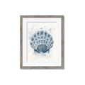 Picture of Blue Seashell _GroupedProduct_Rectangle_Portrait_Framed_Matted_