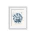 Picture of Blue Seashell _GroupedProduct_Rectangle_Portrait_Framed_Matted_