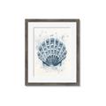 Picture of Blue Seashell _GroupedProduct_Rectangle_Portrait_Framed_Matted_