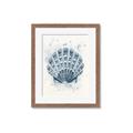 Picture of Blue Seashell _GroupedProduct_Rectangle_Portrait_Framed_Matted_