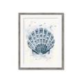 Picture of Blue Seashell _GroupedProduct_Rectangle_Portrait_Framed_Matted_