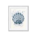 Picture of Blue Seashell _GroupedProduct_Rectangle_Portrait_Framed_Matted_