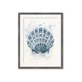 Picture of Blue Seashell _GroupedProduct_Rectangle_Portrait_Framed_Matted_