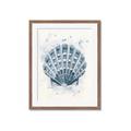 Picture of Blue Seashell _GroupedProduct_Rectangle_Portrait_Framed_Matted_