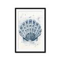 Picture of Blue Seashell _GroupedProduct_Rectangle_Portrait_Framed_Matted_