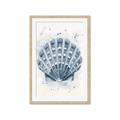 Picture of Blue Seashell _GroupedProduct_Rectangle_Portrait_Framed_Matted_