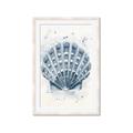 Picture of Blue Seashell _GroupedProduct_Rectangle_Portrait_Framed_Matted_