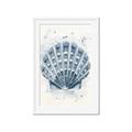 Picture of Blue Seashell _GroupedProduct_Rectangle_Portrait_Framed_Matted_