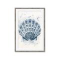 Picture of Blue Seashell _GroupedProduct_Rectangle_Portrait_Framed_Matted_