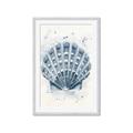 Picture of Blue Seashell _GroupedProduct_Rectangle_Portrait_Framed_Matted_