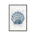 Picture of Blue Seashell _GroupedProduct_Rectangle_Portrait_Framed_Matted_