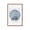 Picture of Blue Seashell _GroupedProduct_Rectangle_Portrait_Framed_Matted_