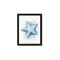 Picture of Teal Starfish _GroupedProduct_Rectangle_Portrait_Framed_Matted_