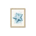Picture of Teal Starfish _GroupedProduct_Rectangle_Portrait_Framed_Matted_