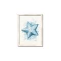 Picture of Teal Starfish _GroupedProduct_Rectangle_Portrait_Framed_Matted_