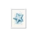 Picture of Teal Starfish _GroupedProduct_Rectangle_Portrait_Framed_Matted_